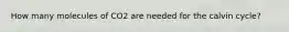 How many molecules of CO2 are needed for the calvin cycle?