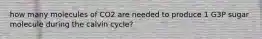 how many molecules of CO2 are needed to produce 1 G3P sugar molecule during the calvin cycle?