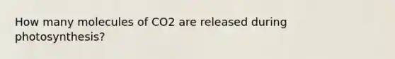 How many molecules of CO2 are released during photosynthesis?