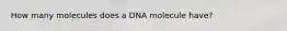 How many molecules does a DNA molecule have?