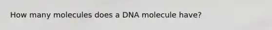 How many molecules does a DNA molecule have?