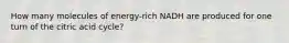 How many molecules of energy-rich NADH are produced for one turn of the citric acid cycle?