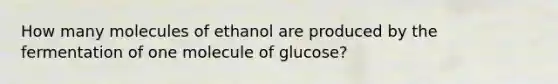 How many molecules of ethanol are produced by the fermentation of one molecule of glucose?