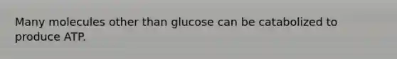 Many molecules other than glucose can be catabolized to produce ATP.