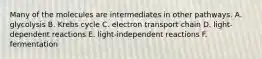 Many of the molecules are intermediates in other pathways. A. glycolysis B. Krebs cycle C. electron transport chain D. light-dependent reactions E. light-independent reactions F. fermentation