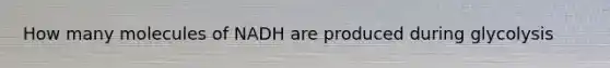 How many molecules of NADH are produced during glycolysis