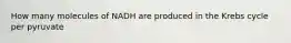 How many molecules of NADH are produced in the Krebs cycle per pyruvate