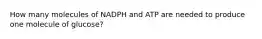 How many molecules of NADPH and ATP are needed to produce one molecule of glucose?