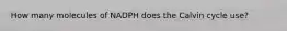 How many molecules of NADPH does the Calvin cycle use?