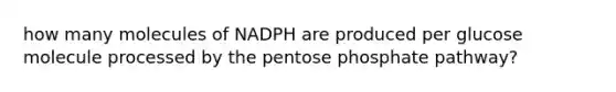 how many molecules of NADPH are produced per glucose molecule processed by the pentose phosphate pathway?