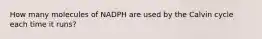 How many molecules of NADPH are used by the Calvin cycle each time it runs?