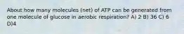 About how many molecules (net) of ATP can be generated from one molecule of glucose in aerobic respiration? A) 2 B) 36 C) 6 D)4