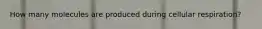 How many molecules are produced during cellular respiration?