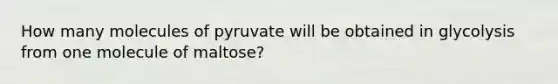 How many molecules of pyruvate will be obtained in glycolysis from one molecule of maltose?