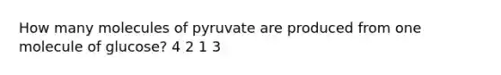 How many molecules of pyruvate are produced from one molecule of glucose? 4 2 1 3