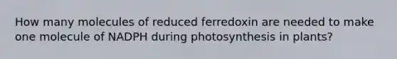 How many molecules of reduced ferredoxin are needed to make one molecule of NADPH during photosynthesis in plants?