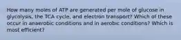 How many moles of ATP are generated per mole of glucose in glycolysis, the TCA cycle, and electron transport? Which of these occur in anaerobic conditions and in aerobic conditions? Which is most efficient?