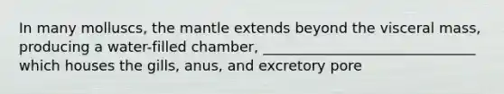 In many molluscs, <a href='https://www.questionai.com/knowledge/kHR4HOnNY8-the-mantle' class='anchor-knowledge'>the mantle</a> extends beyond the visceral mass, producing a water-filled chamber, ______________________________ which houses the gills, anus, and excretory pore