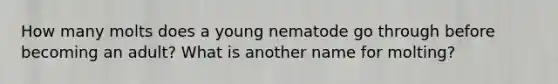 How many molts does a young nematode go through before becoming an adult? What is another name for molting?