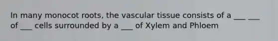 In many monocot roots, the vascular tissue consists of a ___ ___ of ___ cells surrounded by a ___ of Xylem and Phloem