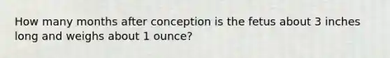 How many months after conception is the fetus about 3 inches long and weighs about 1 ounce?