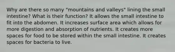 Why are there so many "mountains and valleys" lining the small intestine? What is their function? It allows the small intestine to fit into the abdomen. It increases surface area which allows for more digestion and absorption of nutrients. It creates more spaces for food to be stored within the small intestine. It creates spaces for bacteria to live.