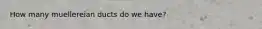 How many muellereian ducts do we have?