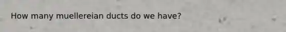How many muellereian ducts do we have?