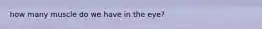 how many muscle do we have in the eye?