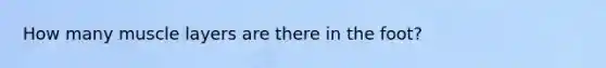 How many muscle layers are there in the foot?