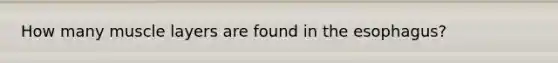 How many muscle layers are found in <a href='https://www.questionai.com/knowledge/kSjVhaa9qF-the-esophagus' class='anchor-knowledge'>the esophagus</a>?