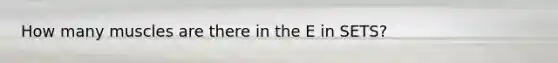 How many muscles are there in the E in SETS?