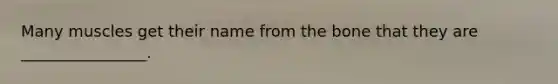 Many muscles get their name from the bone that they are ________________.