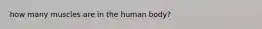 how many muscles are in the human body?