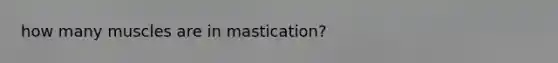 how many muscles are in mastication?