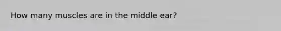 How many muscles are in the middle ear?