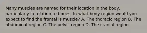 Many muscles are named for their location in the body, particularly in relation to bones. In what body region would you expect to find the frontal is muscle? A. The thoracic region B. The abdominal region C. The pelvic region D. The cranial region