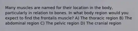 Many muscles are named for their location in the body, particularly in relation to bones. In what body region would you expect to find the frontalis muscle? ​A) The thoracic region​ ​B) The abdominal region ​C) The pelvic region ​D) The cranial region