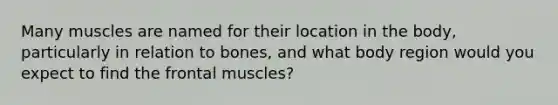 Many muscles are named for their location in the body, particularly in relation to bones, and what body region would you expect to find the frontal muscles?