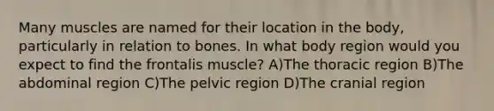 Many muscles are named for their location in the body, particularly in relation to bones. In what body region would you expect to find the frontalis muscle? A)The thoracic region B)The abdominal region C)The pelvic region D)The cranial region