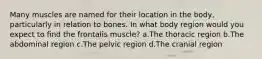 Many muscles are named for their location in the body, particularly in relation to bones. In what body region would you expect to find the frontalis muscle? a.The thoracic region b.The abdominal region c.The pelvic region d.The cranial region