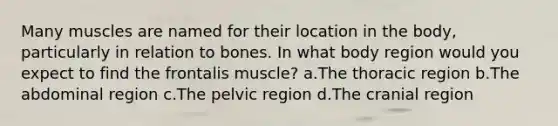 Many muscles are named for their location in the body, particularly in relation to bones. In what body region would you expect to find the frontalis muscle? a.The thoracic region b.The abdominal region c.The pelvic region d.The cranial region