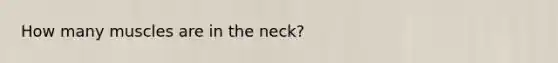 How many muscles are in the neck?