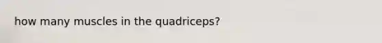 how many muscles in the quadriceps?