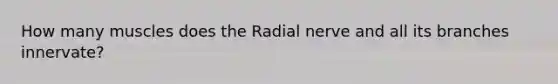 How many muscles does the Radial nerve and all its branches innervate?