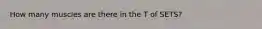 How many muscles are there in the T of SETS?