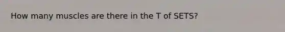 How many muscles are there in the T of SETS?