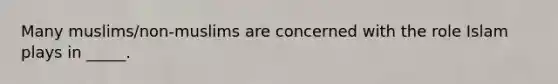 Many muslims/non-muslims are concerned with the role Islam plays in _____.