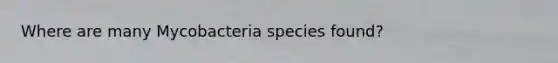 Where are many Mycobacteria species found?