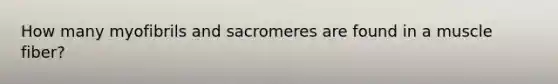 How many myofibrils and sacromeres are found in a muscle fiber?